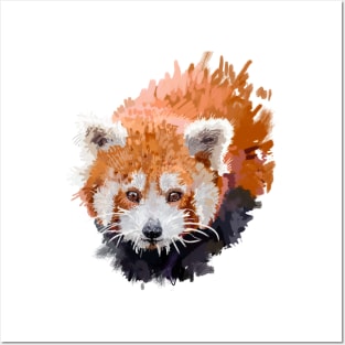 Red panda Posters and Art